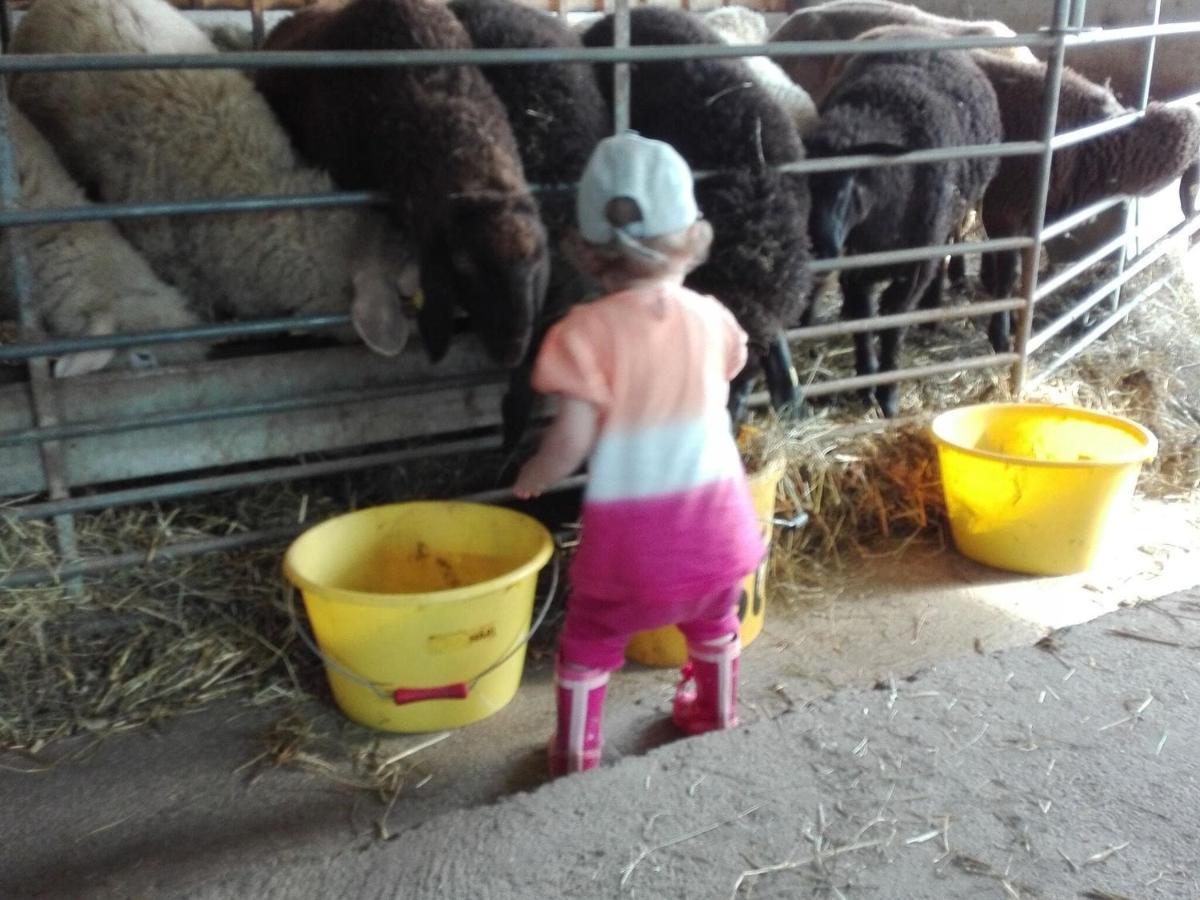 Holiday On An Organic Farm In Hart Im Zillertal Buitenkant foto